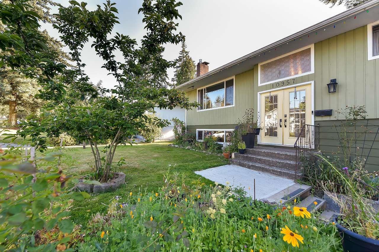 10957 Jay Crescent, Surrey, British Columbia  V3R 5B3 - Photo 30 - R3021425
