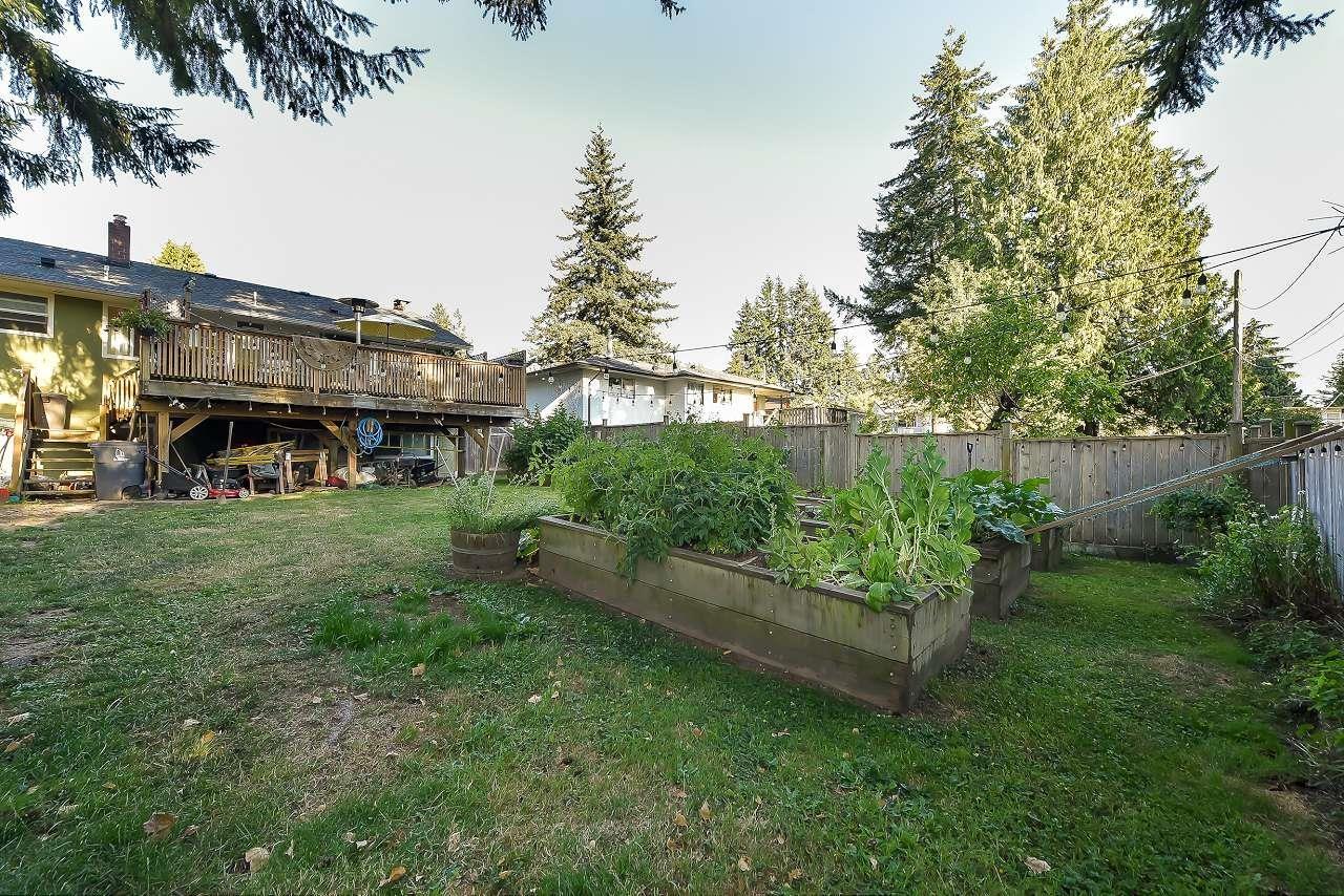 10957 Jay Crescent, Surrey, British Columbia  V3R 5B3 - Photo 32 - R3021425