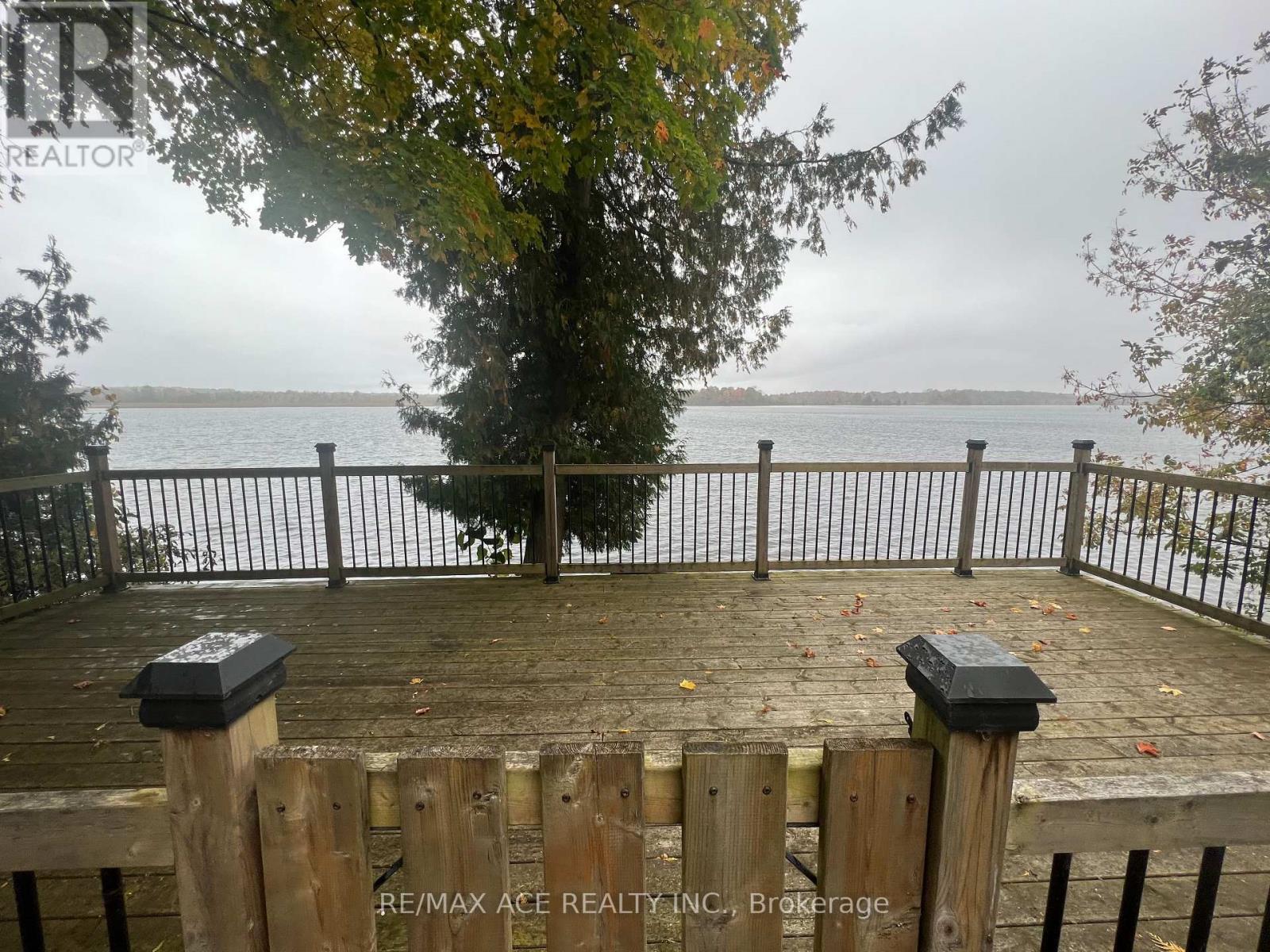 41 North Taylor Road, Kawartha Lakes, Ontario  K0M 2B0 - Photo 19 - X12292718