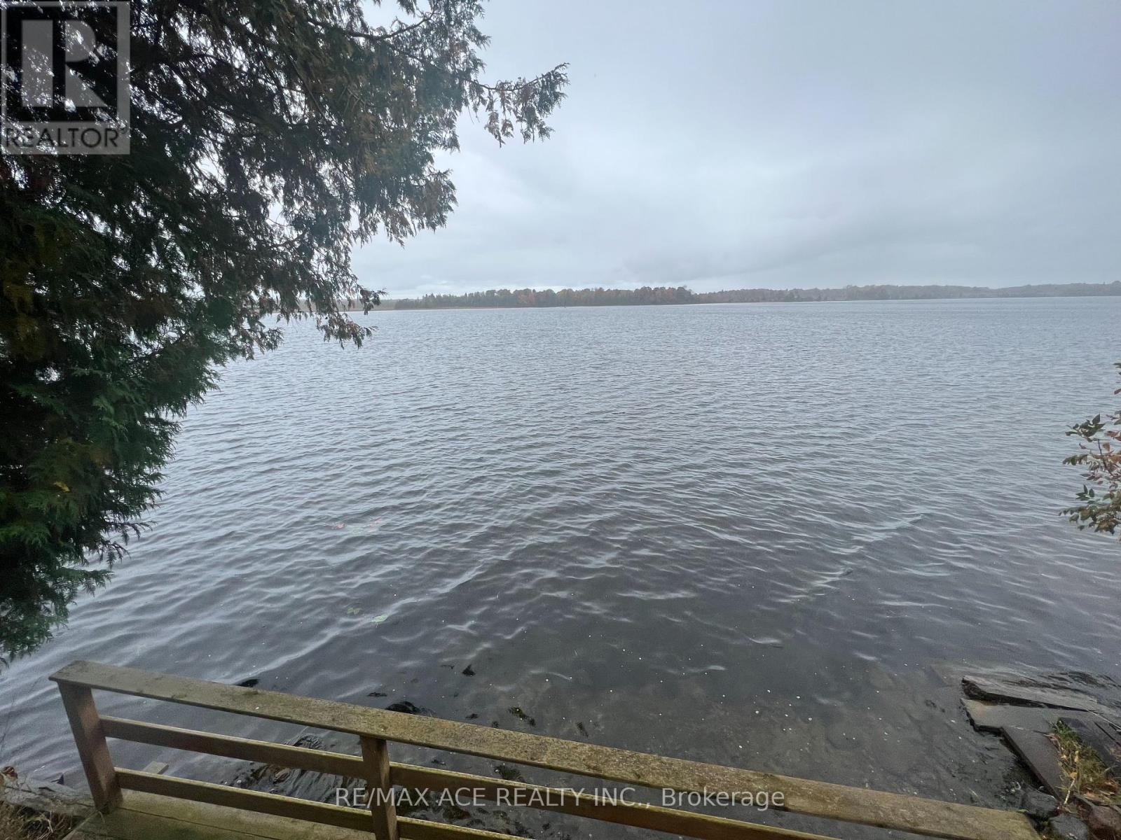41 North Taylor Road, Kawartha Lakes, Ontario  K0M 2B0 - Photo 20 - X12292718