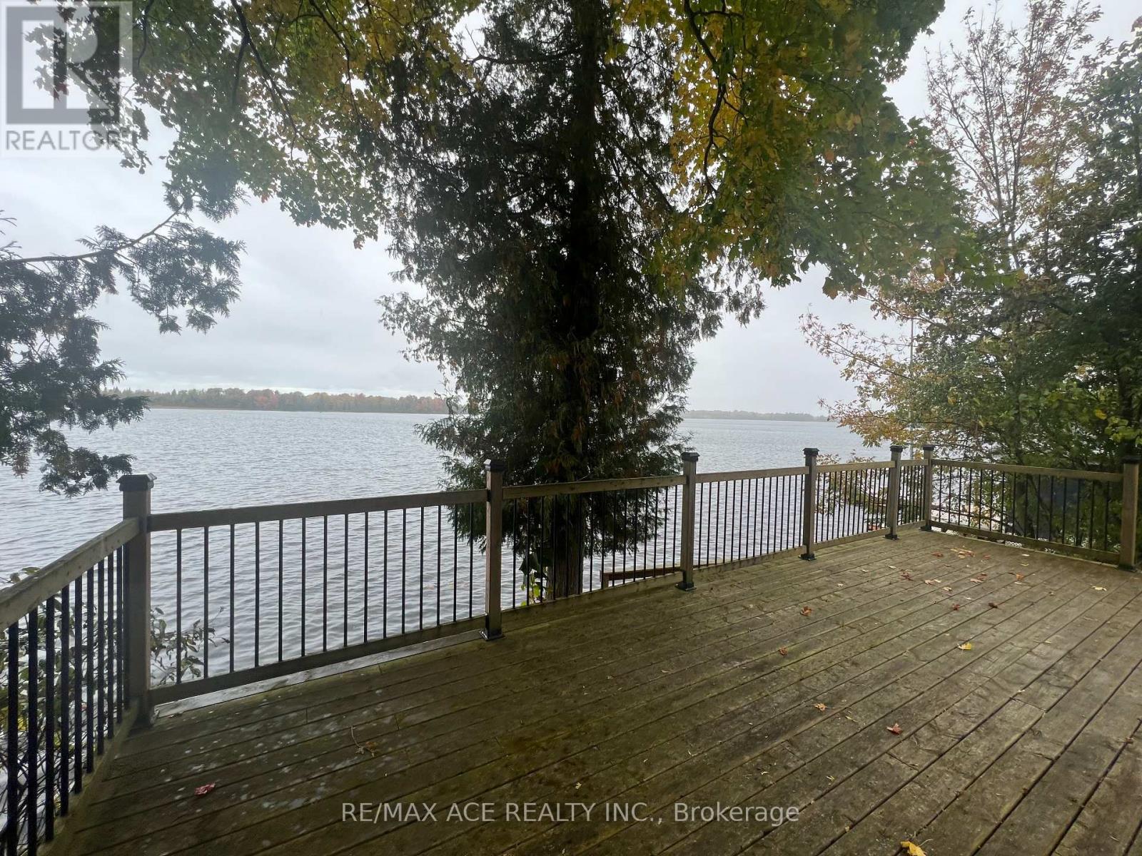 41 North Taylor Road, Kawartha Lakes, Ontario  K0M 2B0 - Photo 21 - X12292718
