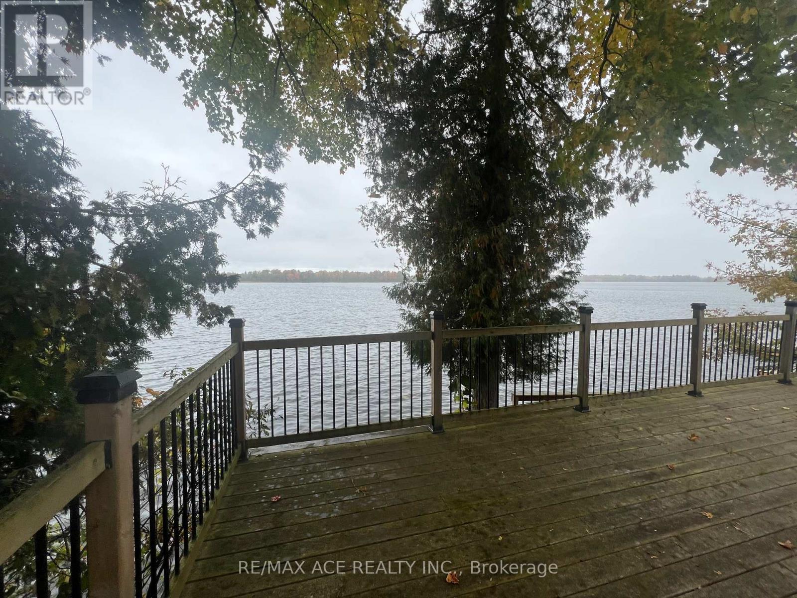 41 North Taylor Road, Kawartha Lakes, Ontario  K0M 2B0 - Photo 22 - X12292718