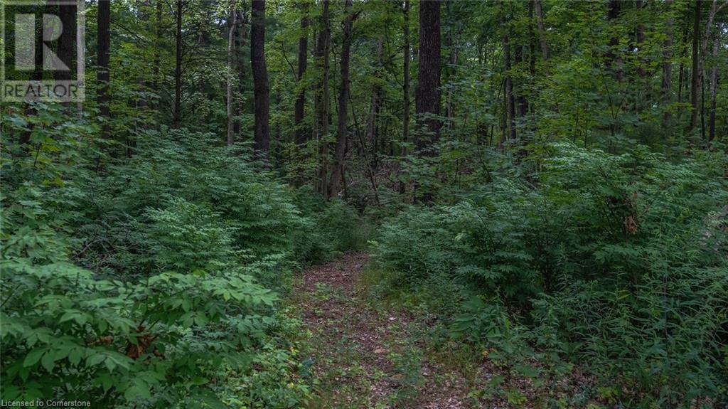 Photo 36 at 555 Turkey Point Road, Vittoria Photo 36 at 555 Turkey Point Road, Vittoria