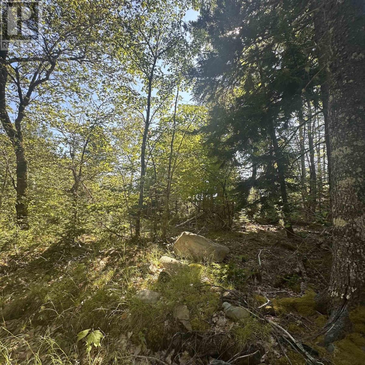 Lot PID 70241864 Wellington Road, Buckfield, Nova Scotia