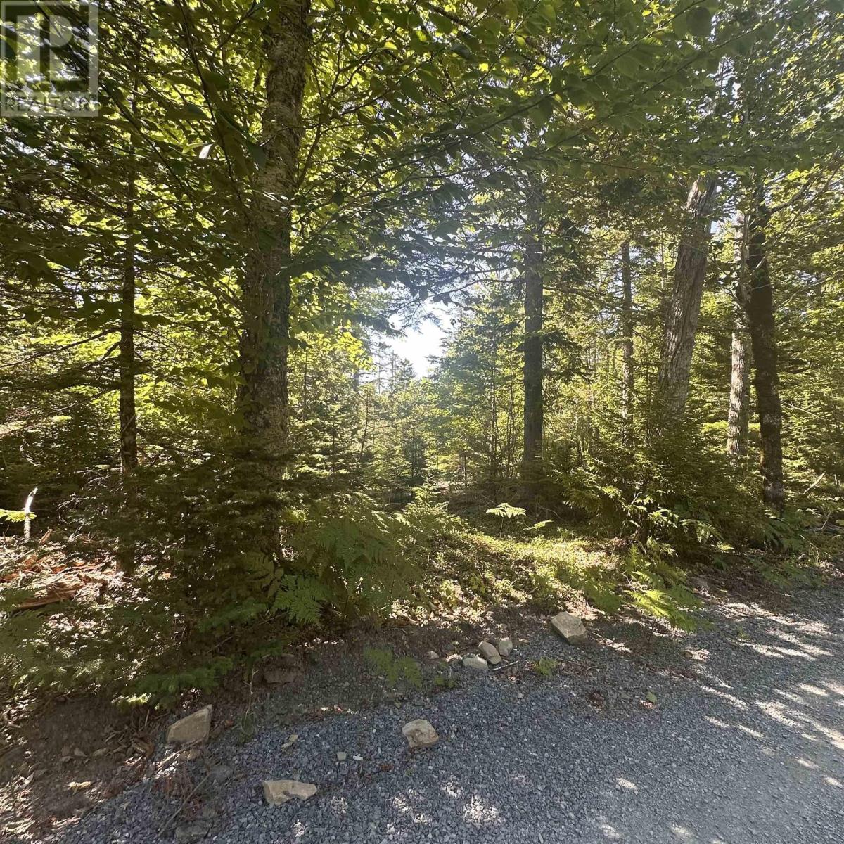 Lot Pid 70241864 Wellington Road, Buckfield, Nova Scotia  B0T 1E0 - Photo 7 - 202517822