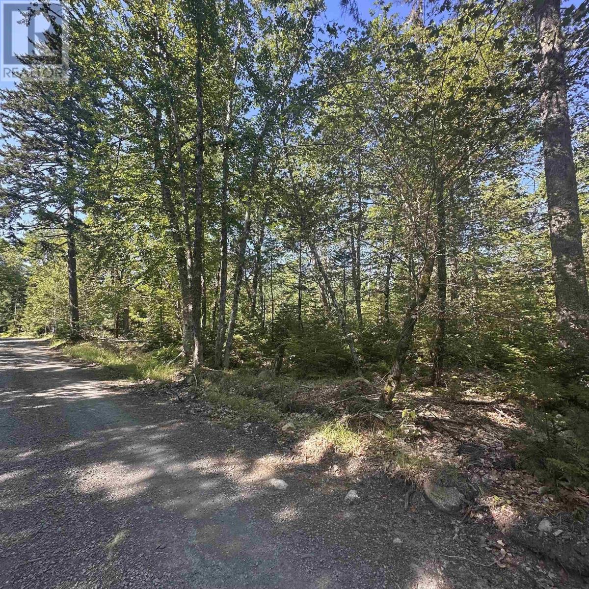 Lot Pid 70241864 Wellington Road, Buckfield, Nova Scotia  B0T 1E0 - Photo 9 - 202517822