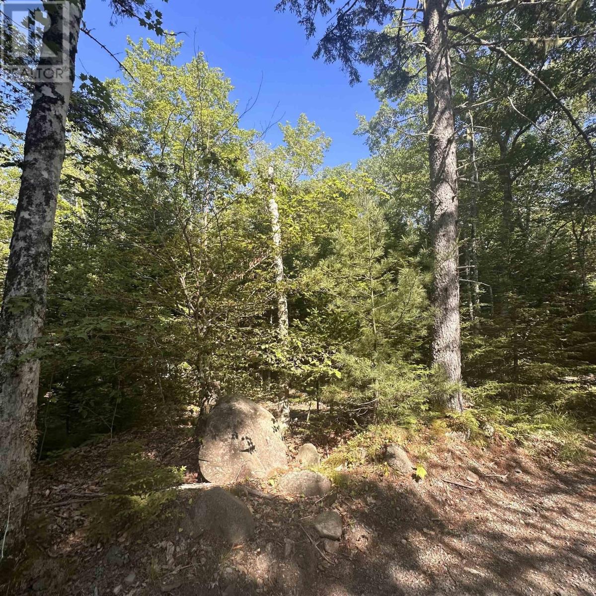 Lot Pid 70241864 Wellington Road, Buckfield, Nova Scotia  B0T 1E0 - Photo 3 - 202517822