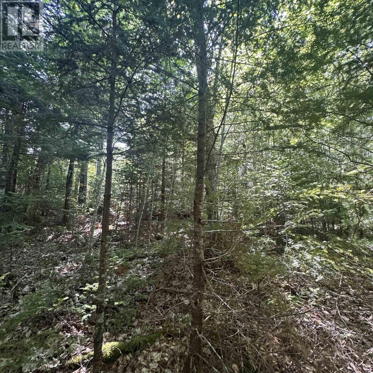 Lot Pid 70241864 Wellington Road, Buckfield, Nova Scotia  B0T 1E0 - Photo 5 - 202517822