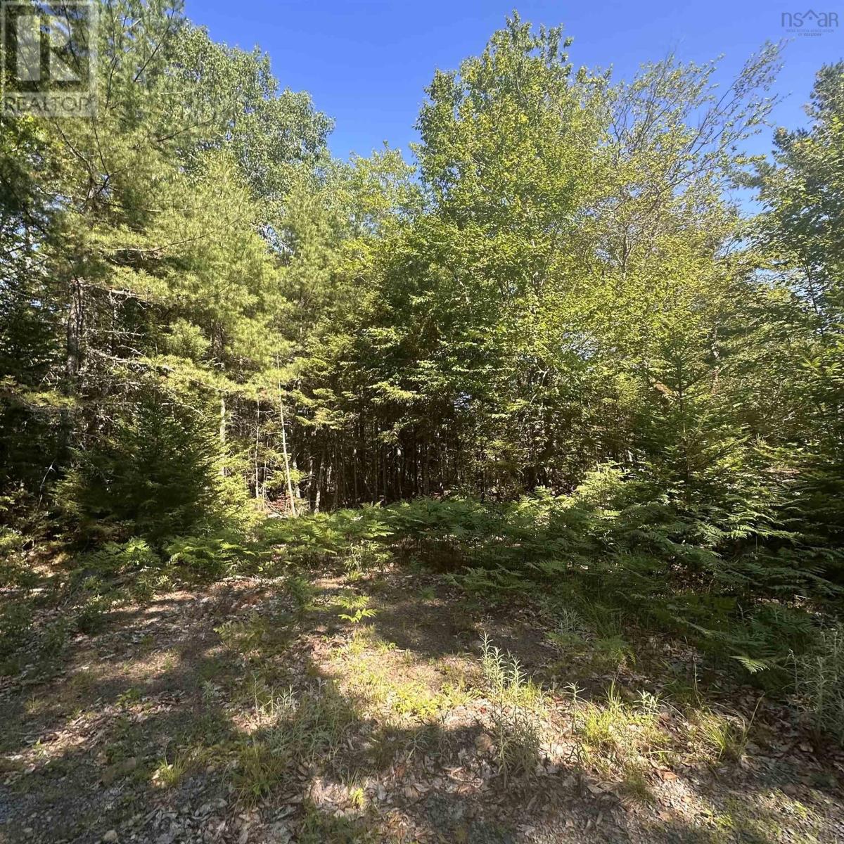 Lot Pid 70241864 Wellington Road, Buckfield, Nova Scotia  B0T 1E0 - Photo 2 - 202517822