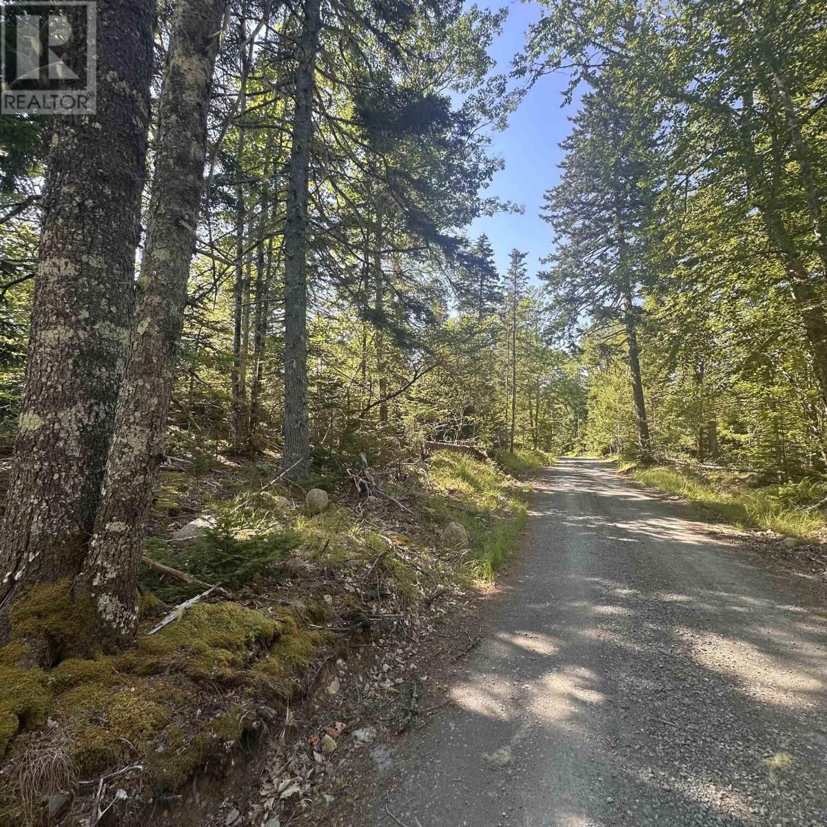 Lot Pid 70241864 Wellington Road, Buckfield, Nova Scotia  B0T 1E0 - Photo 8 - 202517822