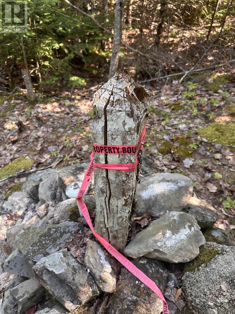 Lot Pid 70241864 Wellington Road, Buckfield, Nova Scotia  B0T 1E0 - Photo 6 - 202517822