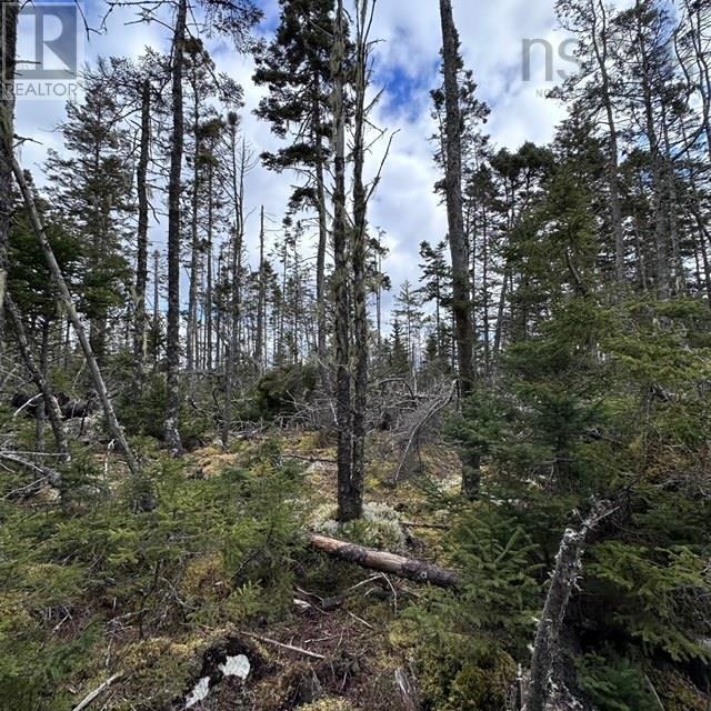Lot Pid# 60475456 Big Tancook Island Road, Big Tancook Island, Nova Scotia  B0J 3G0 - Photo 16 - 202507858