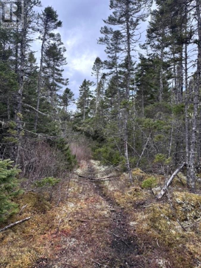 Lot Pid# 60475456 Big Tancook Island Road, Big Tancook Island, Nova Scotia  B0J 3G0 - Photo 17 - 202507858