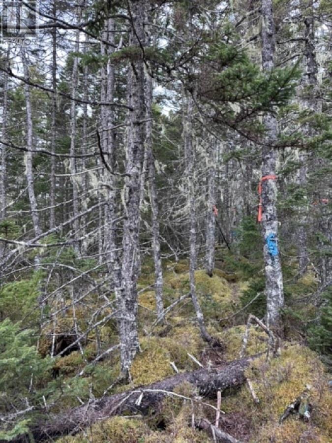 Lot Pid# 60475456 Big Tancook Island Road, Big Tancook Island, Nova Scotia  B0J 3G0 - Photo 18 - 202507858