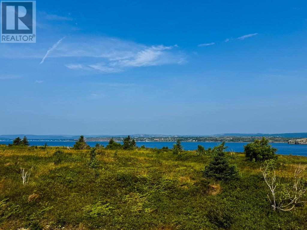 0 Skanes Road, Port De Grave, Newfoundland & Labrador  A0A 3J0 - Photo 2 - 1288007