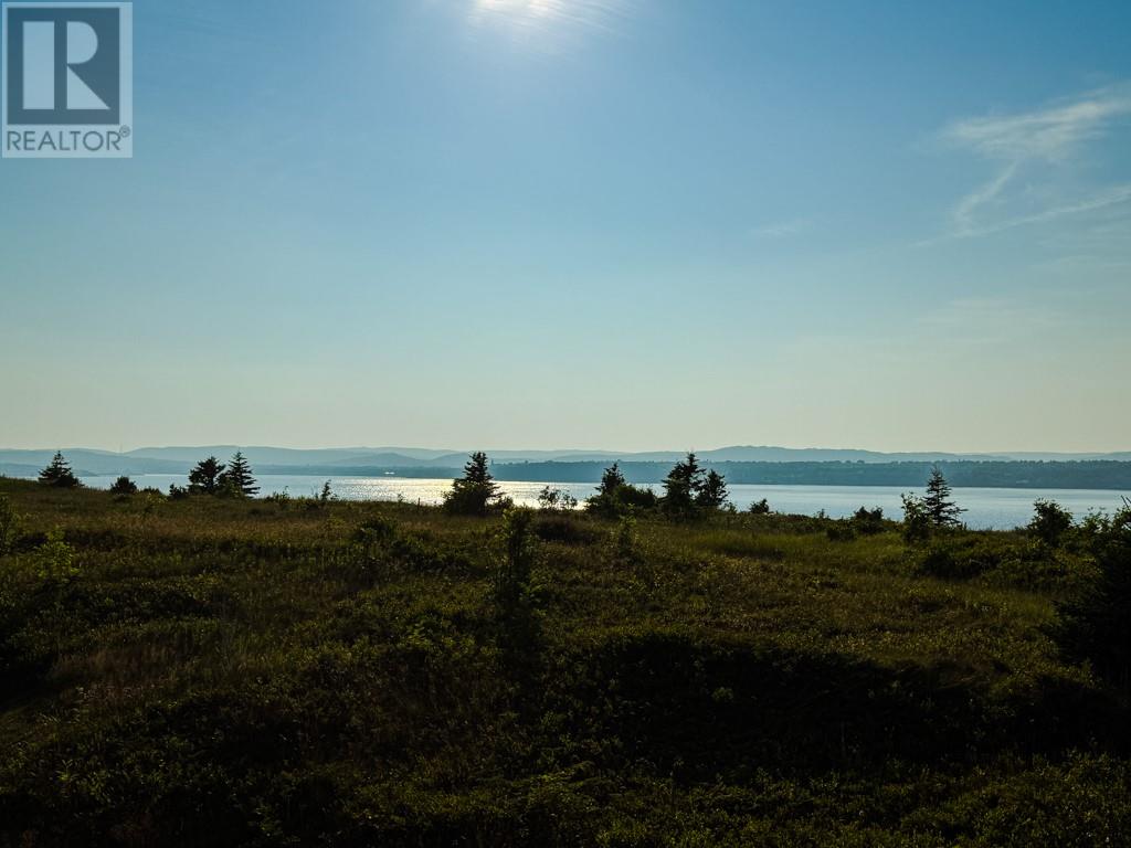 0 Skanes Road, Port De Grave, Newfoundland & Labrador  A0A 3J0 - Photo 35 - 1288007