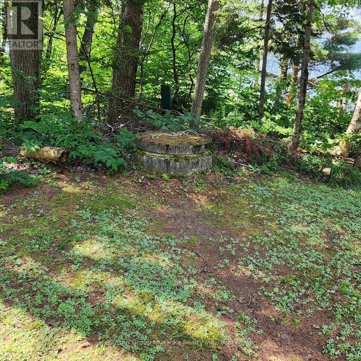 1060 - 6 Seabreeze Road, Lake Of Bays, Ontario  P0A 1H0 - Photo 30 - X12293118