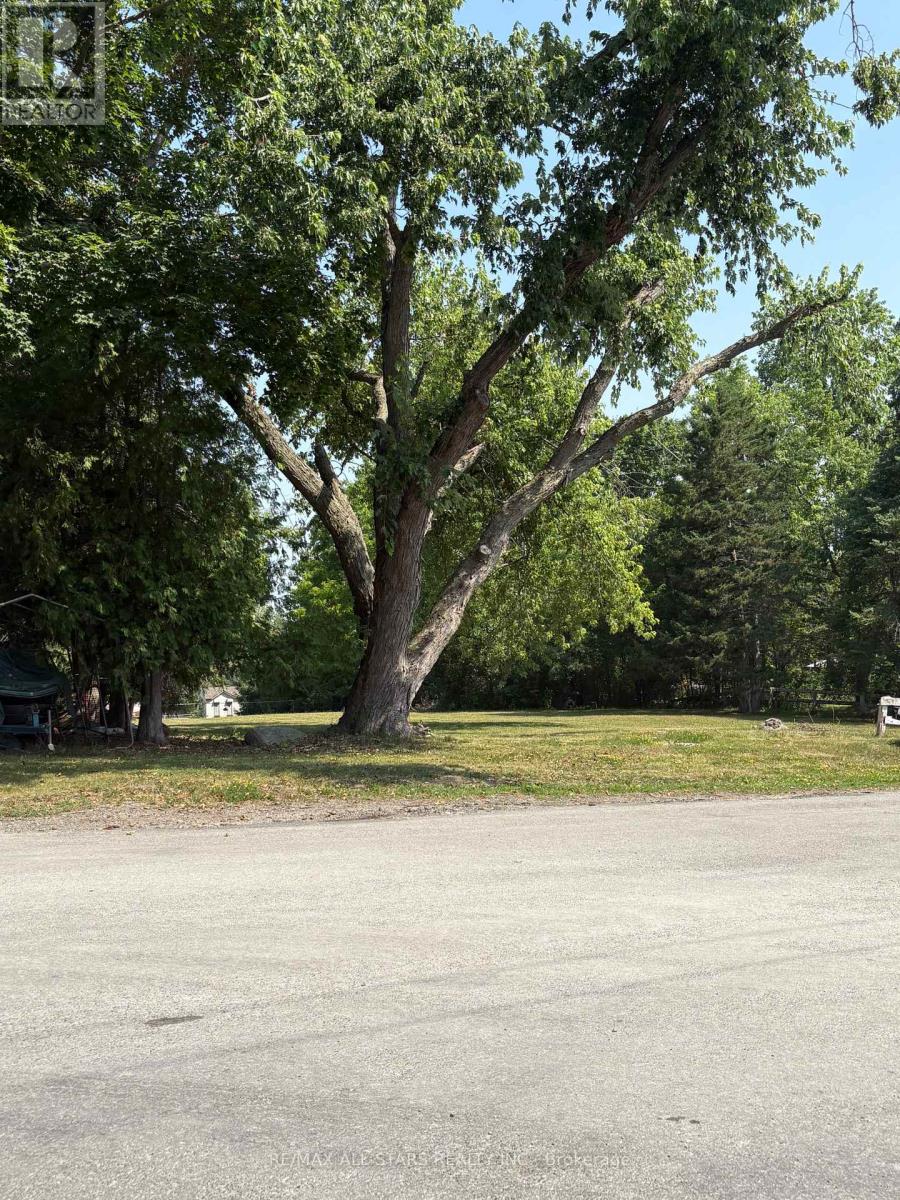 Property at 309 KENREI ROAD image 4