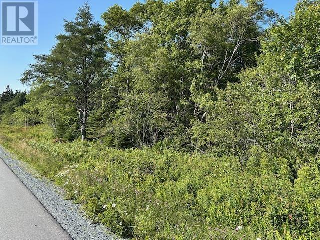 Lot 4 Shore Road, Western Head, Nova Scotia