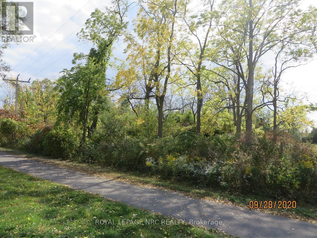 Lot 2 - 3779 Niagara Parkway, Fort Erie, Ontario  L2A 5M4 - Photo 5 - X12293404