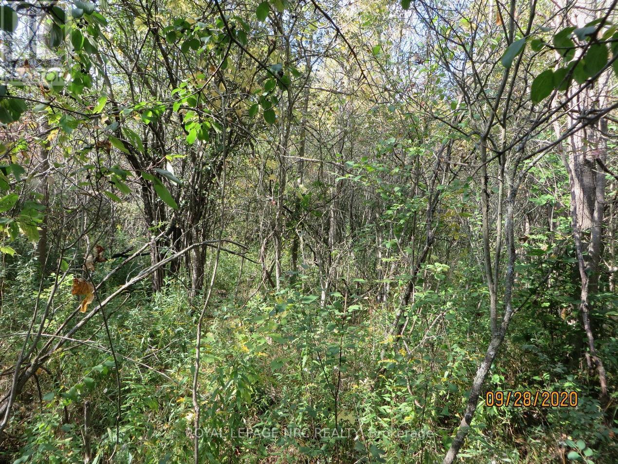 Lot 2 - 3779 Niagara Parkway, Fort Erie, Ontario  L2A 5M4 - Photo 7 - X12293404