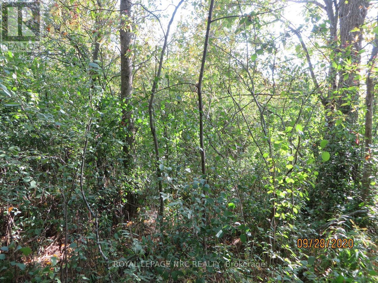 Lot 2 - 3779 Niagara Parkway, Fort Erie, Ontario  L2A 5M4 - Photo 9 - X12293404