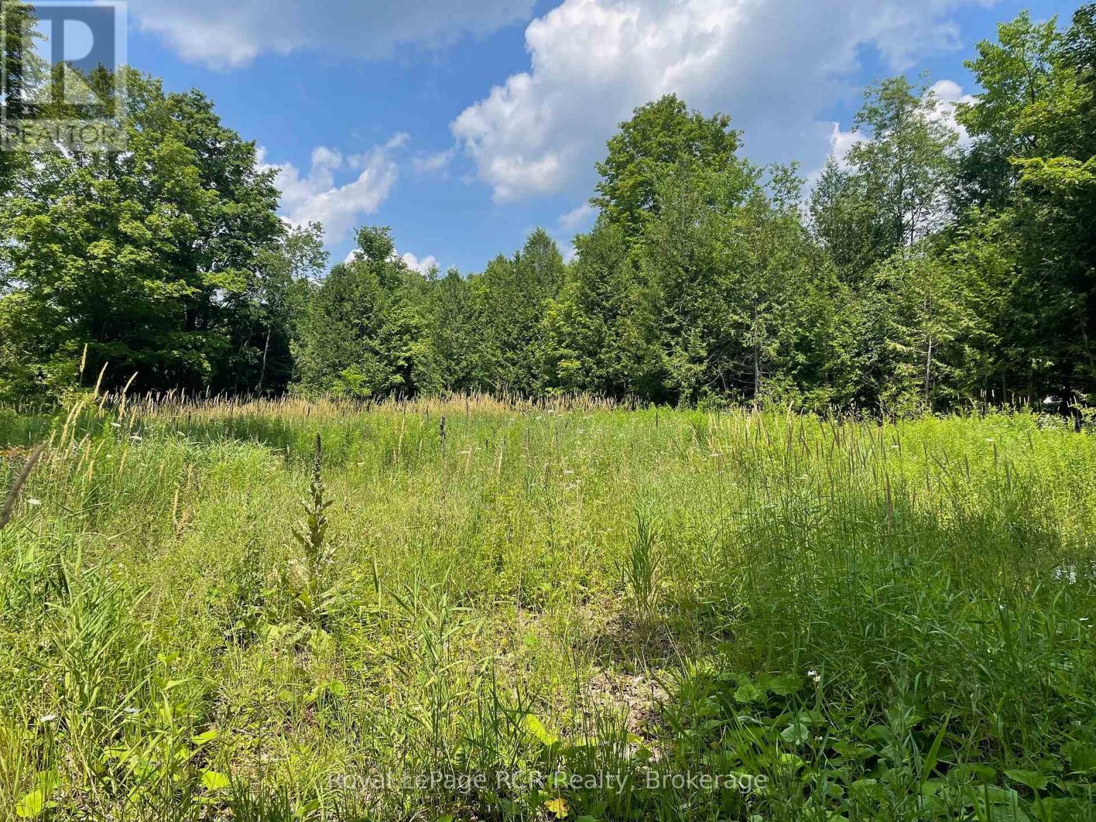 00000 Penny Lane, Grey Highlands, Ontario  N0C 1E0 - Photo 2 - X12293342