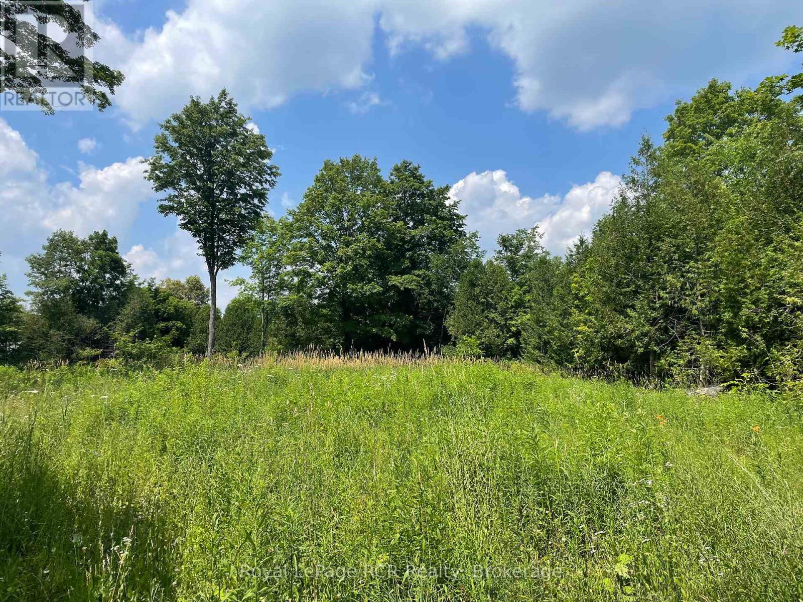00000 Penny Lane, Grey Highlands, Ontario  N0C 1E0 - Photo 3 - X12293342