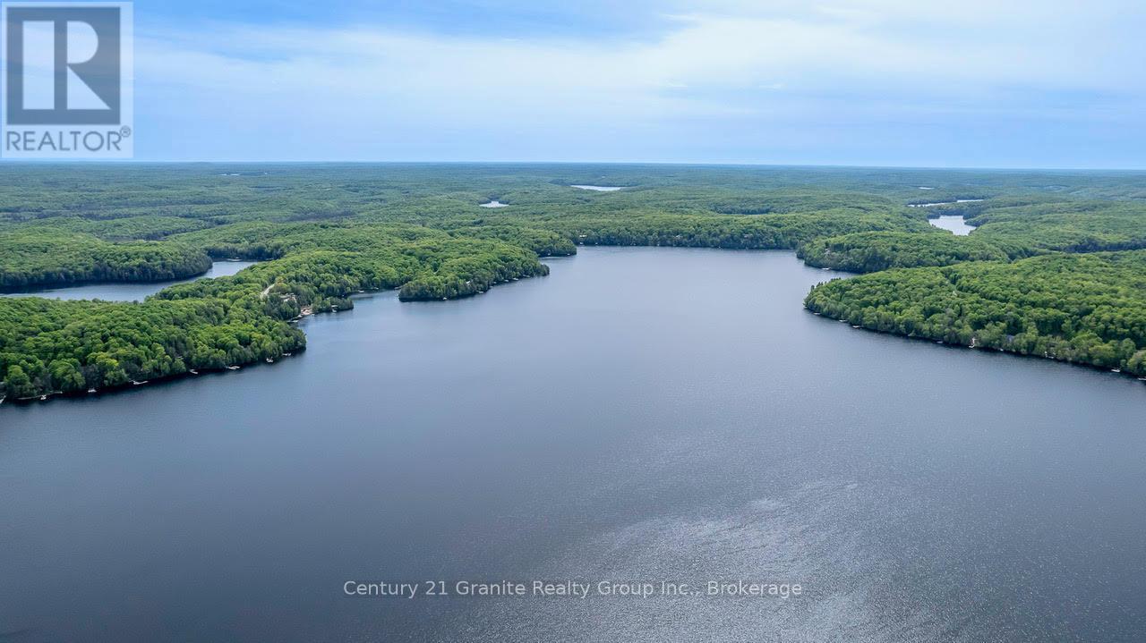 1013 Miskwabi Lake Road, Dysart Et Al, Ontario  K0M 1S0 - Photo 29 - X12293344