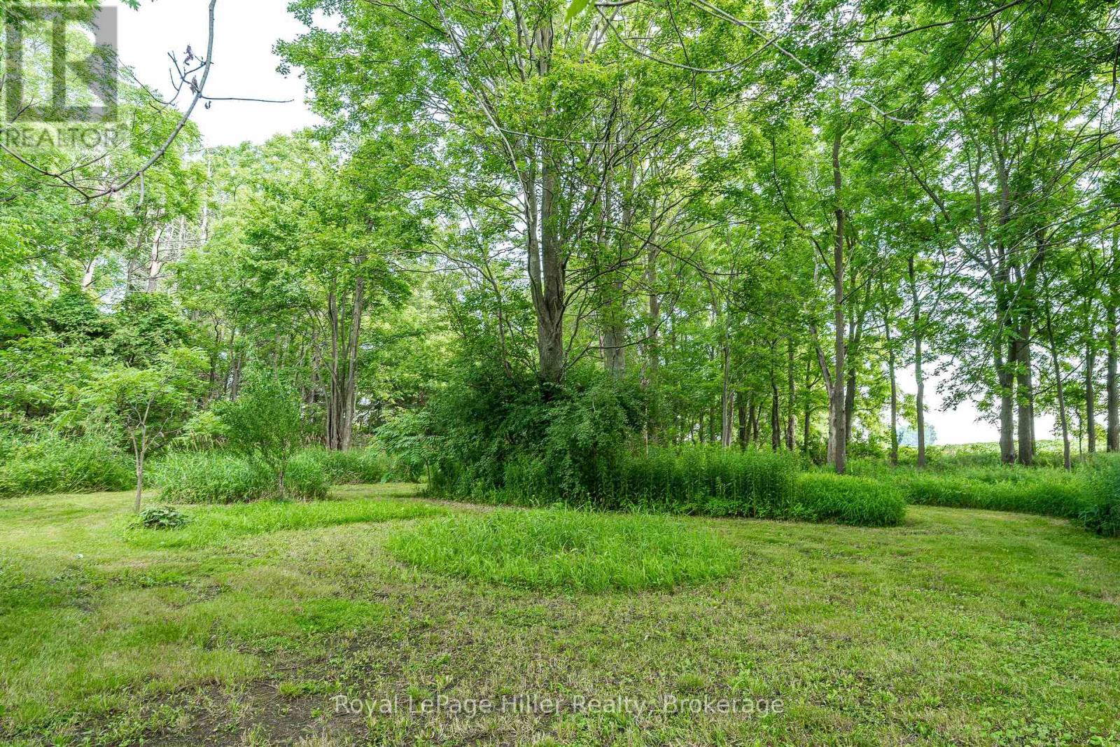 22742 Nissouri Road, Thames Centre, Ontario  N0M 2P0 - Photo 41 - X12293350