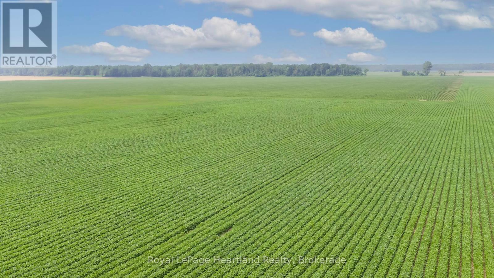 Lot 13 Bells Line, Bluewater, Ontario  N0M 1X0 - Photo 3 - X12293505