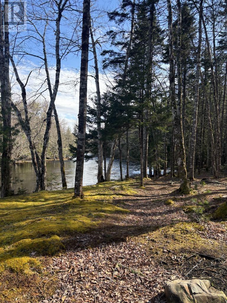 790 Depot Road, East Kemptville, Nova Scotia  B5A 5P4 - Photo 6 - 202517946