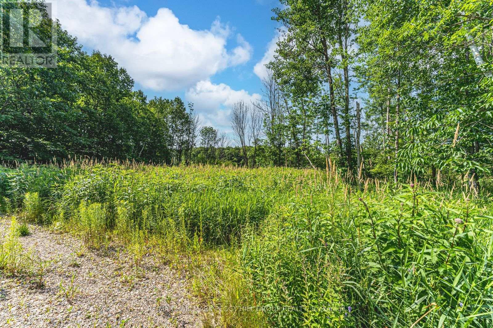 91b Highway 124, Mcdougall, Ontario  P2A 2W7 - Photo 3 - X12265394