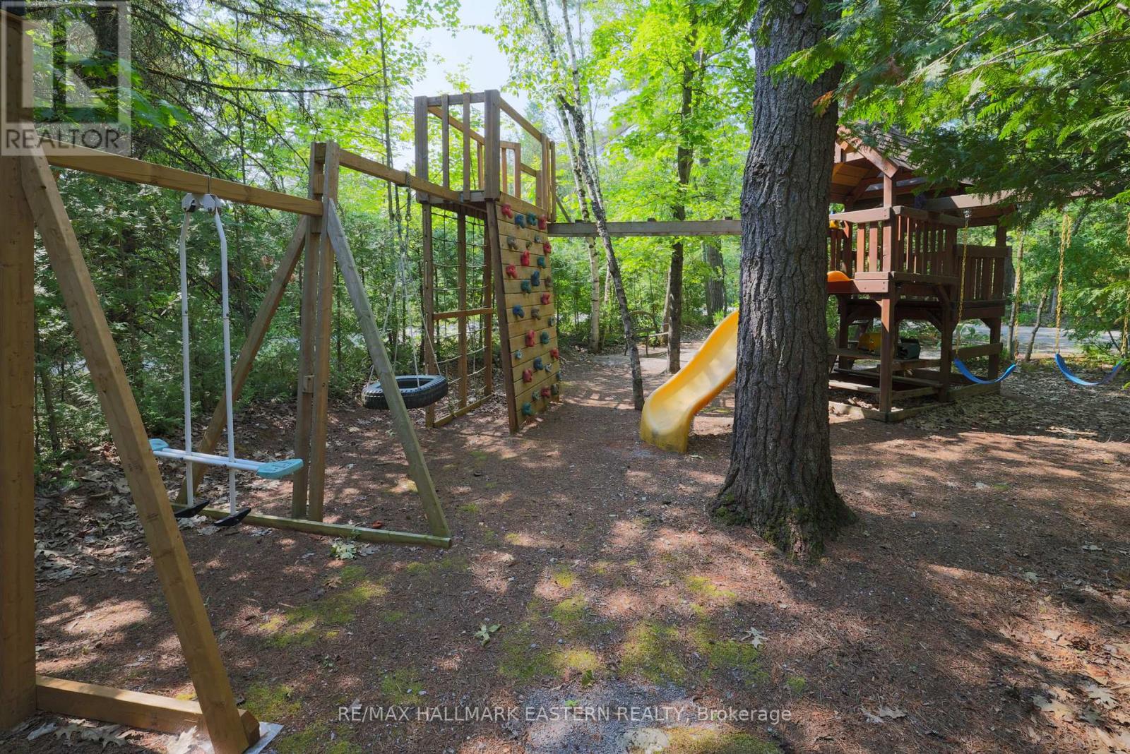 538 Rishor Avenue, Douro-Dummer, Ontario  K0L 2H0 - Photo 47 - X12293574