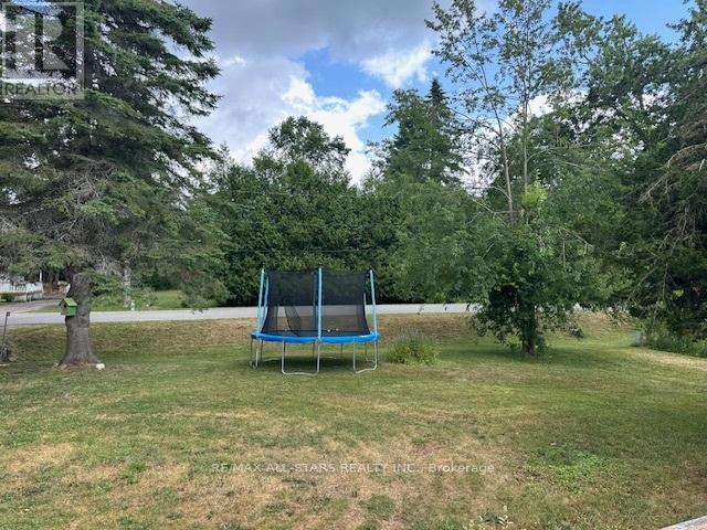 160 Alpine Lake Road, Trent Lakes, Ontario  K0M 1A0 - Photo 24 - X12293684