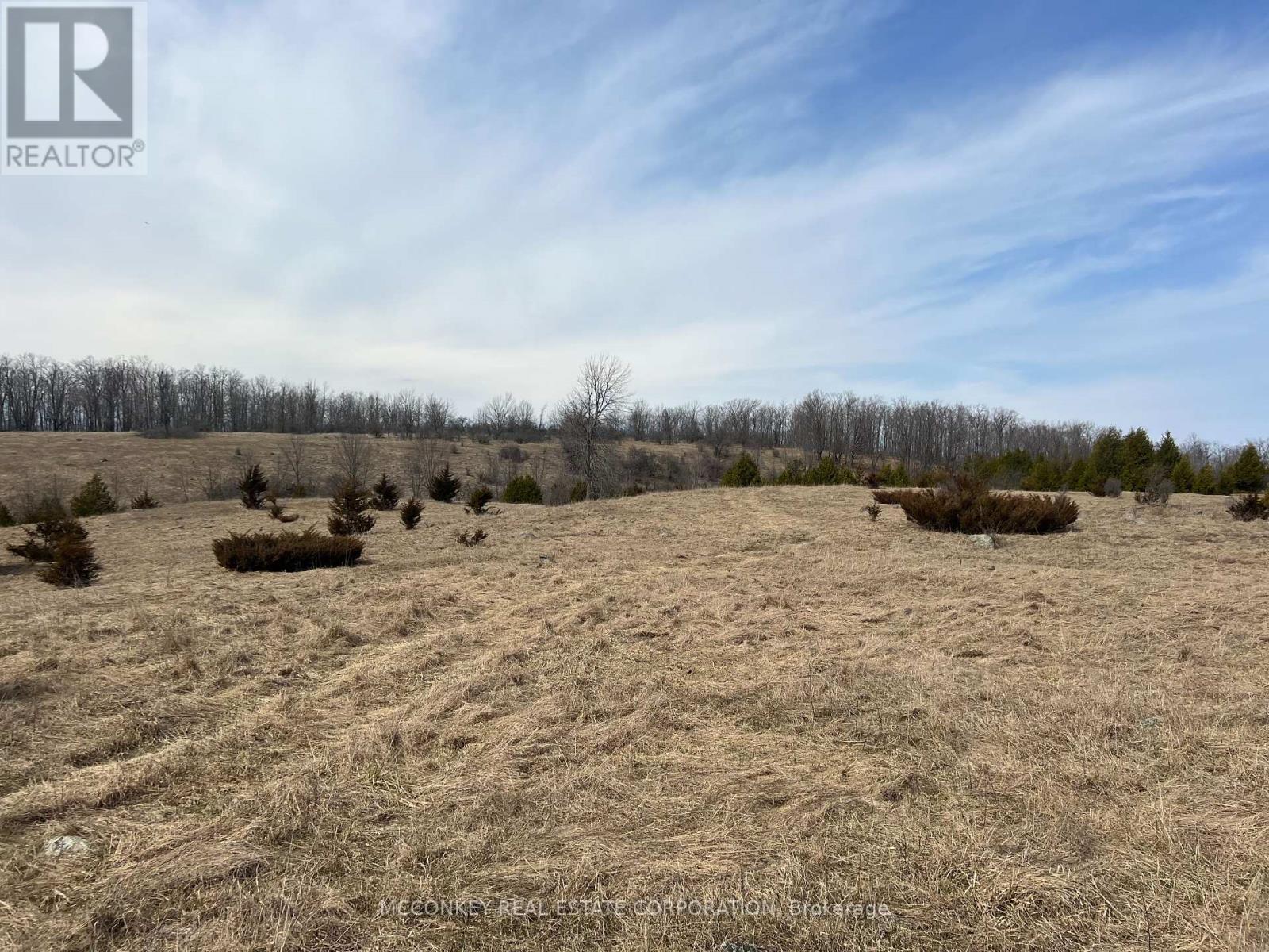 250 Concession Road 13 E, Trent Hills, Ontario  K0L 1Y0 - Photo 7 - X12083807