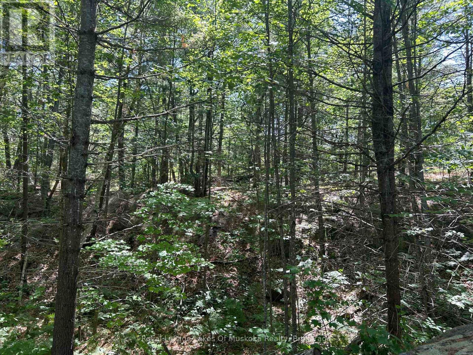 Lot 1 Bala Park Island, Muskoka Lakes, Ontario  P0B 1J0 - Photo 14 - X12293705