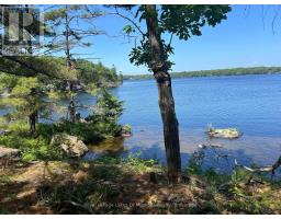 LOT 1 BALA PARK ISLAND, Muskoka Lakes, Ontario
