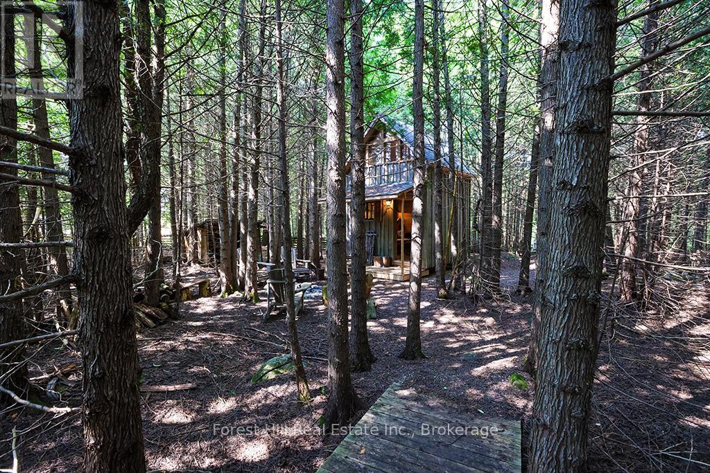 596325 Concession 10, Chatsworth, Ontario  N0H 1R0 - Photo 15 - X12293769