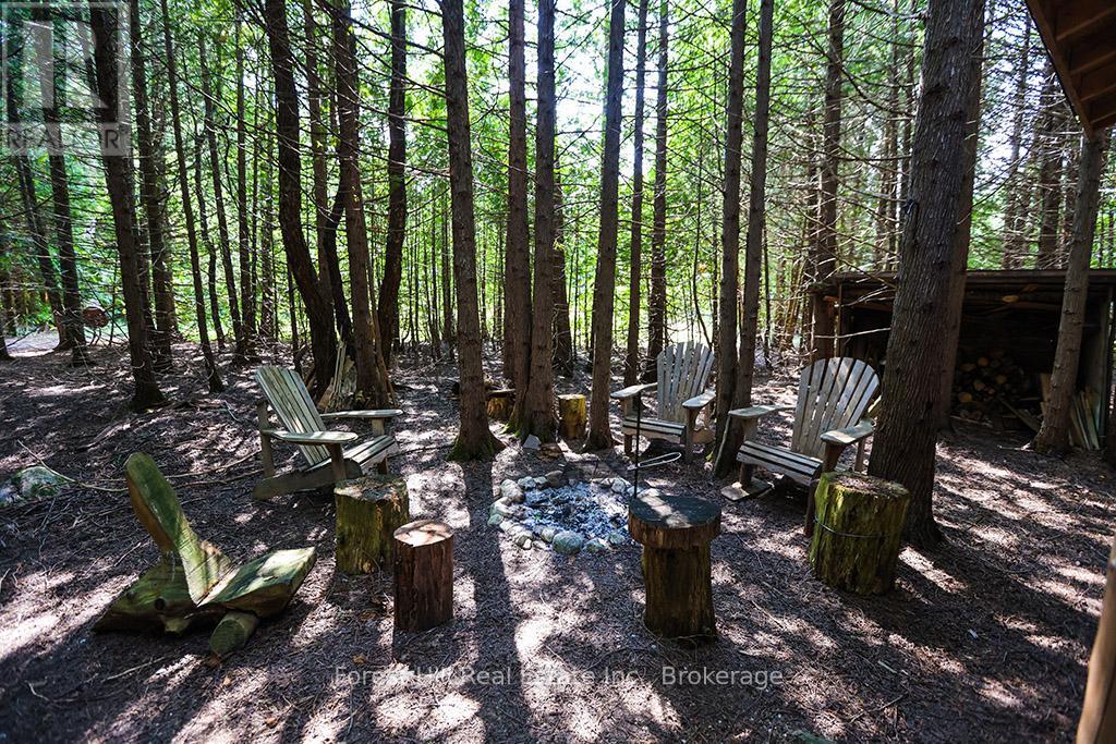 596325 Concession 10, Chatsworth, Ontario  N0H 1R0 - Photo 25 - X12293769