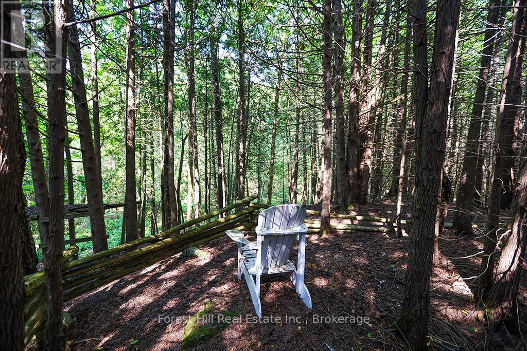 596325 Concession 10, Chatsworth, Ontario  N0H 1R0 - Photo 27 - X12293769