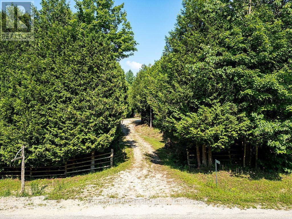 596325 Concession 10, Chatsworth, Ontario  N0H 1R0 - Photo 6 - X12293769