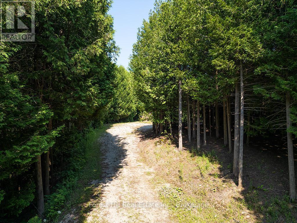 596325 Concession 10, Chatsworth, Ontario  N0H 1R0 - Photo 7 - X12293769