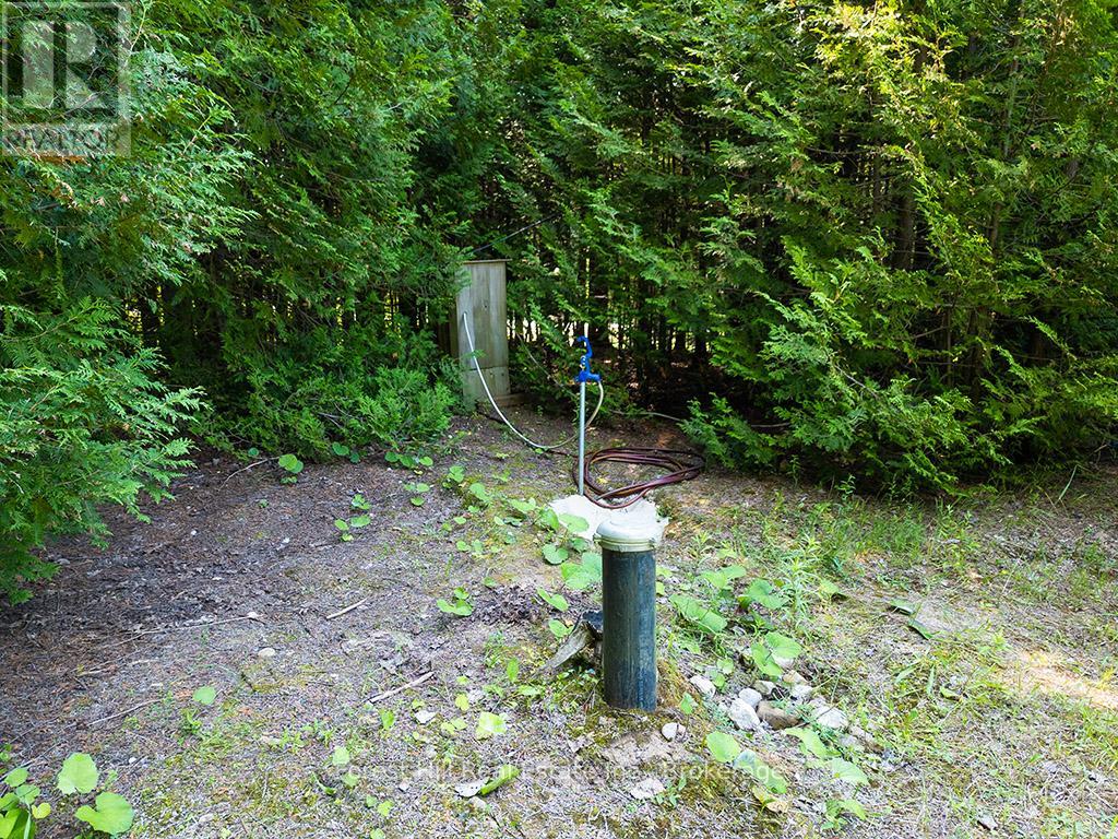 596325 Concession 10, Chatsworth, Ontario  N0H 1R0 - Photo 9 - X12293769