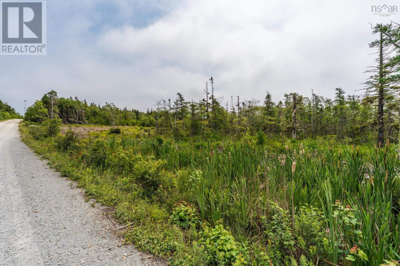Lots Peter Leblanc Road, Meteghan, Nova Scotia  B0W 2J0 - Photo 5 - 202517662
