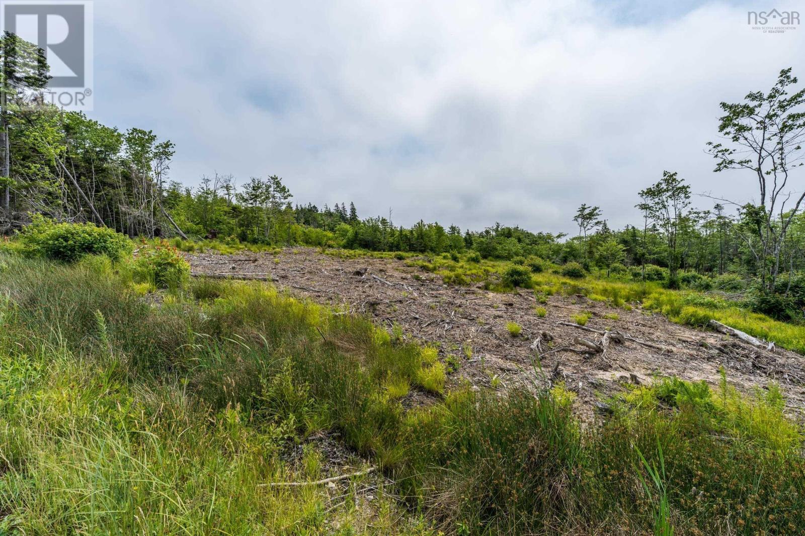 Lots Peter Leblanc Road, Meteghan, Nova Scotia  B0W 2J0 - Photo 9 - 202517662