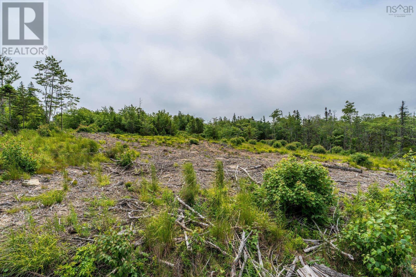 Lots Peter Leblanc Road, Meteghan, Nova Scotia  B0W 2J0 - Photo 8 - 202517662