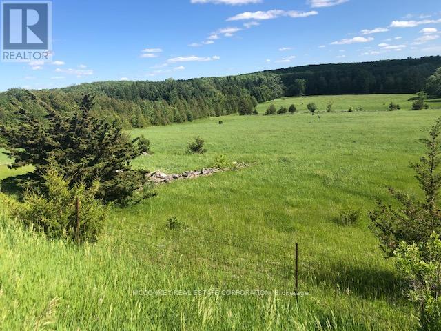 227 Concession Road 13 E, Trent Hills, Ontario  K0L 1Y0 - Photo 10 - X12293821