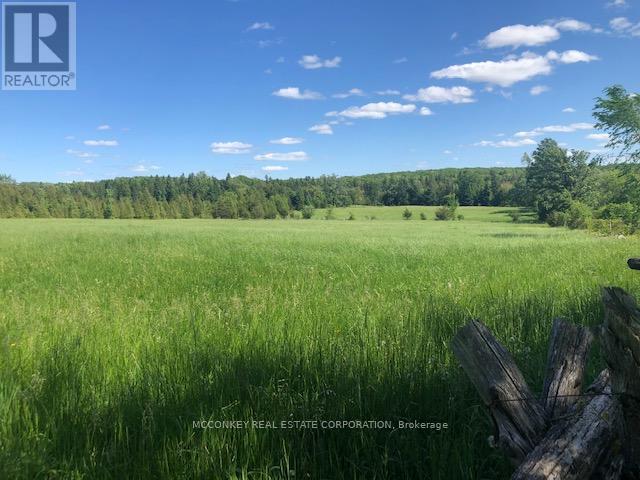 227 Concession Road 13 E, Trent Hills, Ontario  K0L 1Y0 - Photo 16 - X12293821