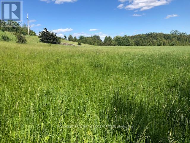 227 Concession Road 13 E, Trent Hills, Ontario  K0L 1Y0 - Photo 17 - X12293821